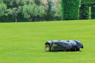 trawnik z robotem do koszenia trawy